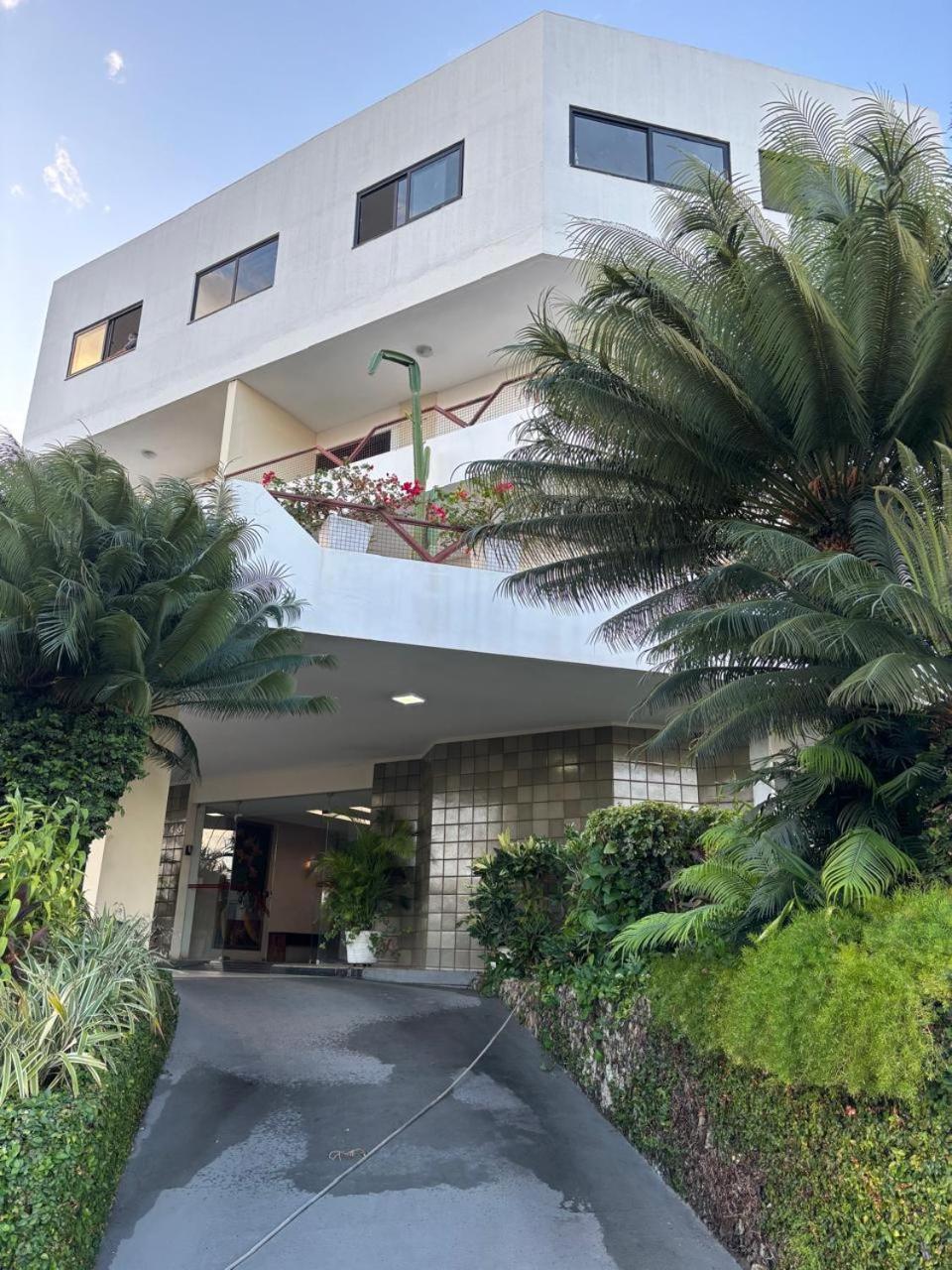 Palace Petrolina